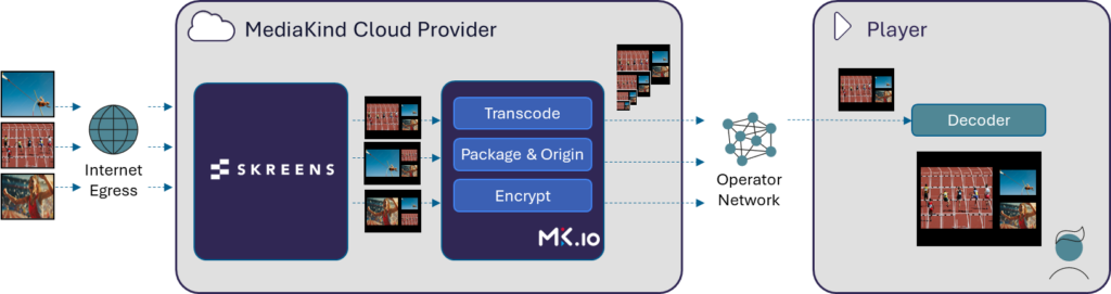 Multiview using Skreens engine for multi encodes